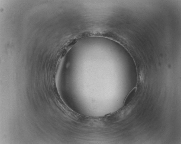 X0000055521396200509022111