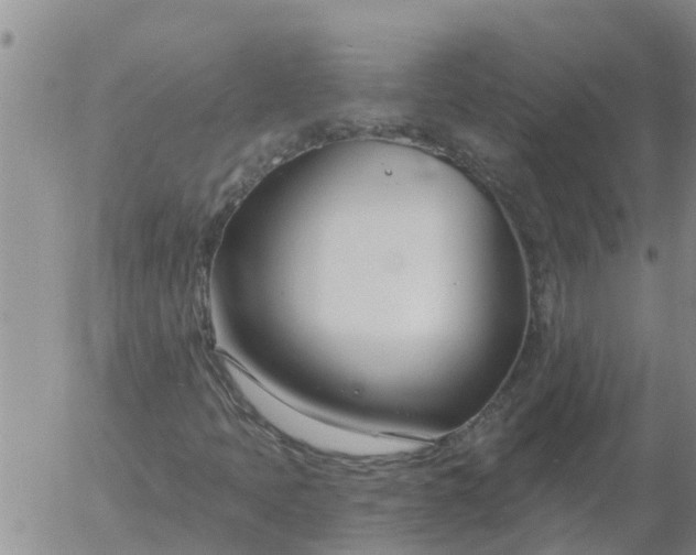 X0000055521397200509022111