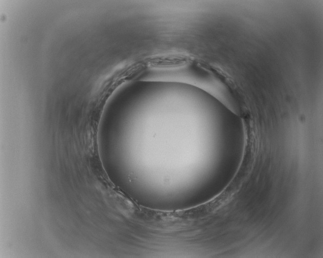 X0000055521398200509022111