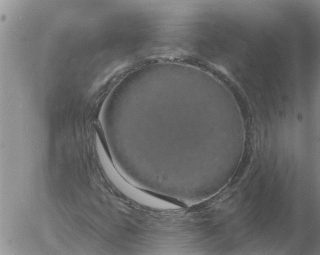 X0000055521399200509022111