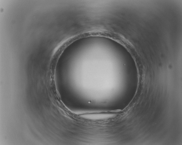 X0000055521400200509022112