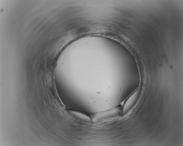 X0000055521401200509022112