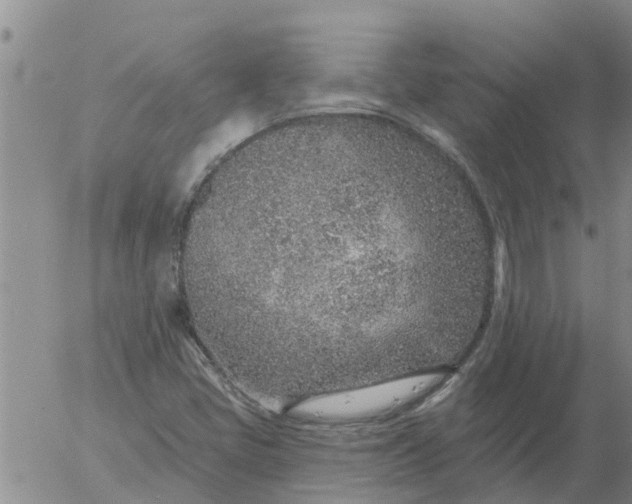 X0000055521405200509022112