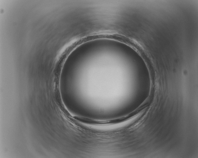 X0000055521406200509022112