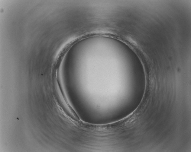 X0000055521408200509022112