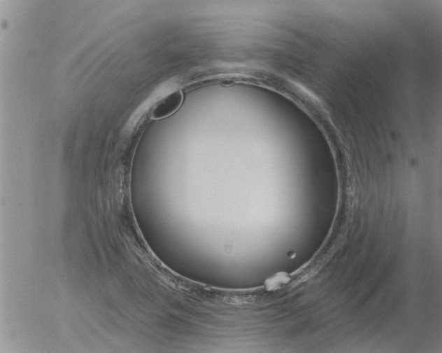 X0000055521411200509022112