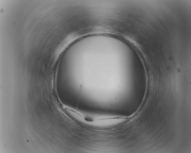 X0000055521415200509022112