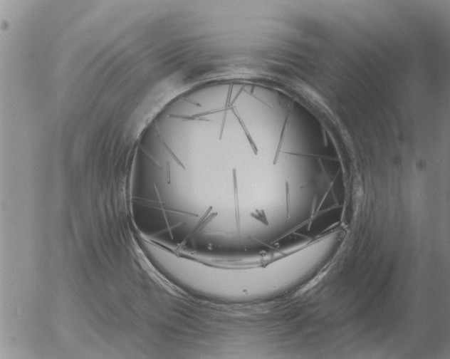 X0000055521417200509022112