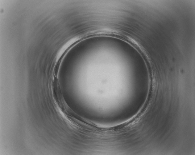 X0000055521418200509022112