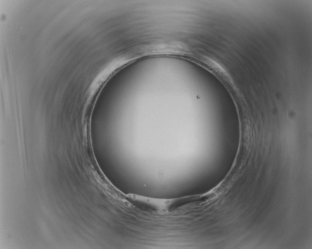 X0000055521419200509022112