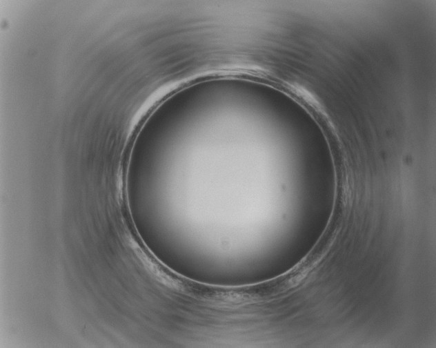 X0000055521420200509022112