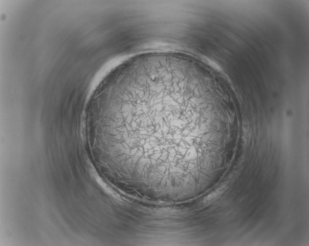 X0000055521421200509022112