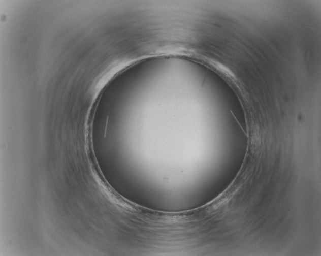 X0000055521423200509022112