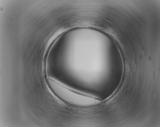 X0000055521424200509022112