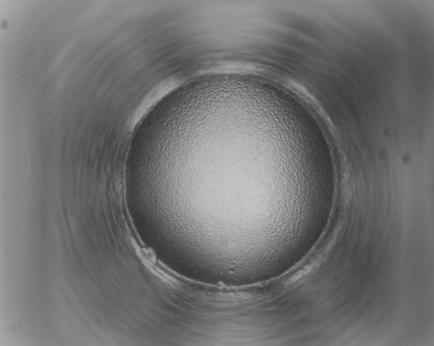 X0000055521425200509022112