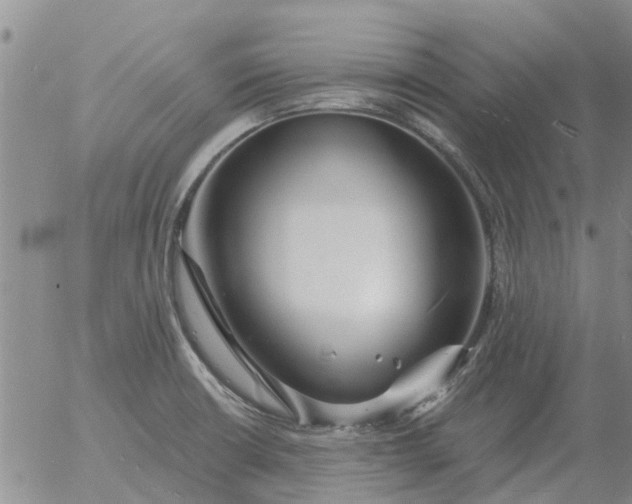 X0000055521426200509022112