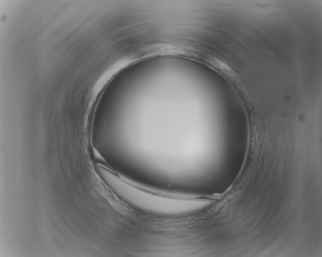 X0000055521427200509022112