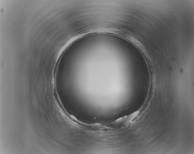 X0000055521428200509022112