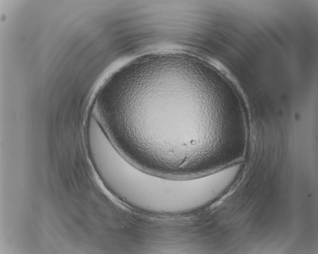 X0000055521429200509022112