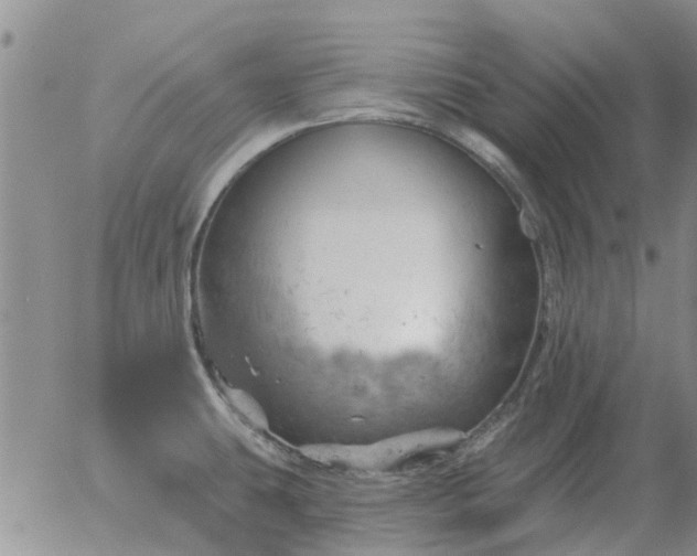 X0000055521431200509022112