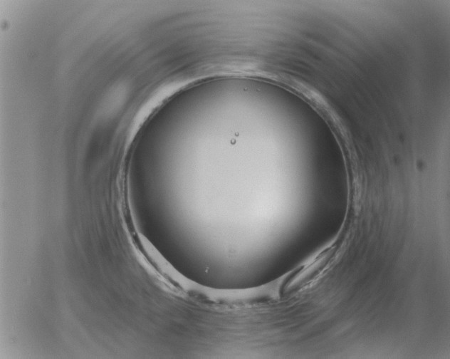 X0000055521432200509022112