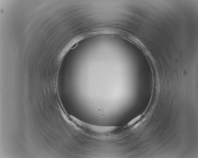 X0000055521433200509022112