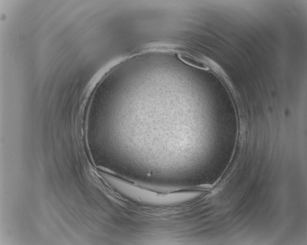 X0000055521435200509022112