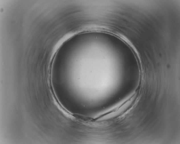 X0000055521437200509022112