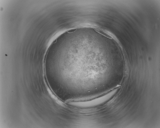 X0000055521439200509022112