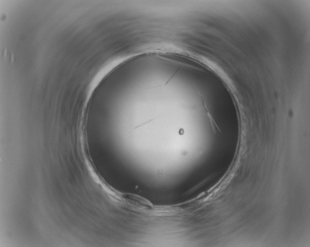 X0000055521440200509022112