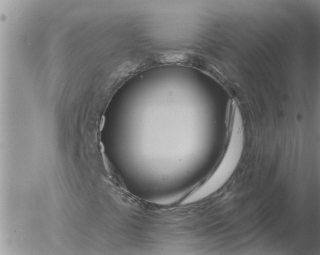 X0000055521441200509022111