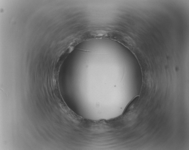 X0000055521442200509022111