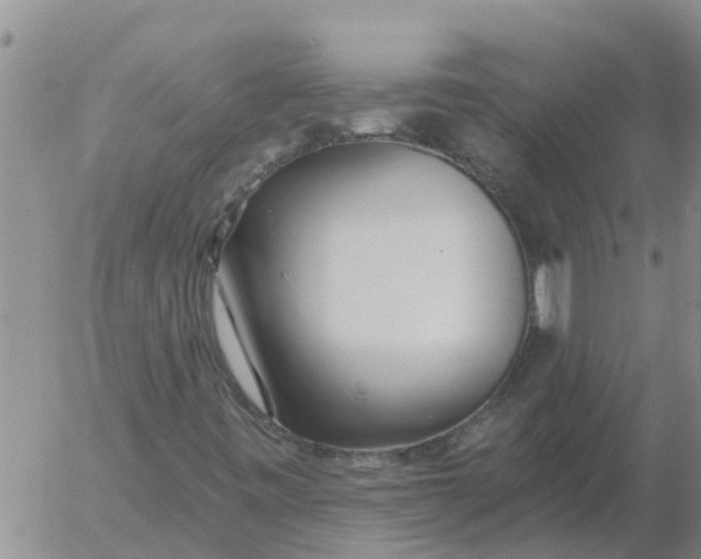 X0000055521443200509022111