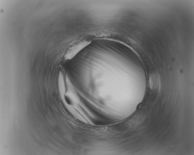 X0000055521444200509022111