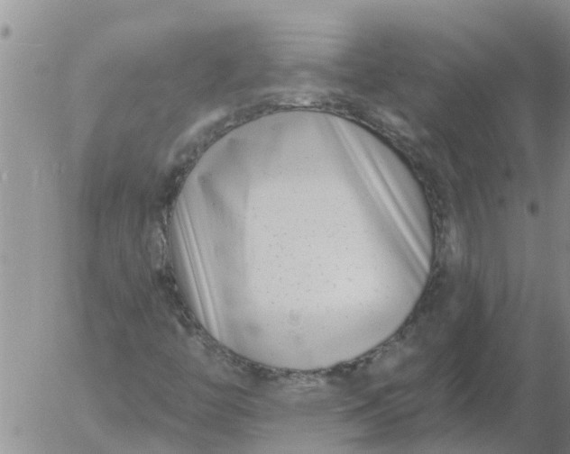 X0000055521446200509022111