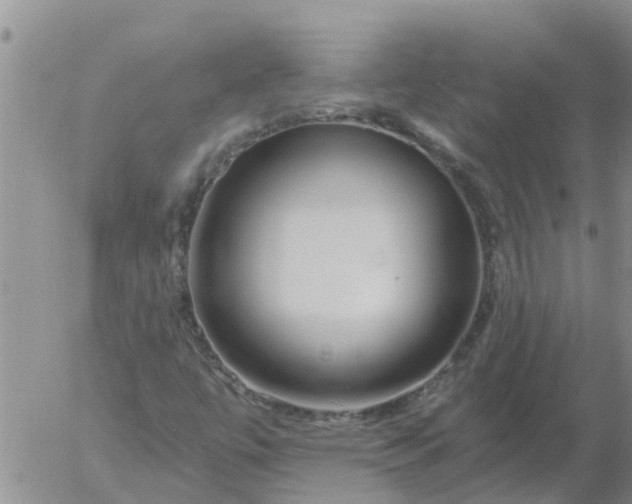 X0000055521447200509022111