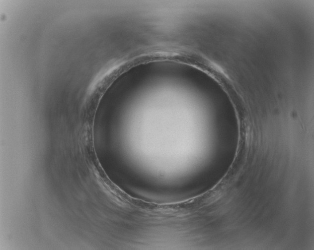 X0000055521448200509022111