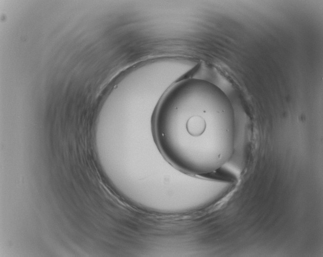 X0000055521449200509022111