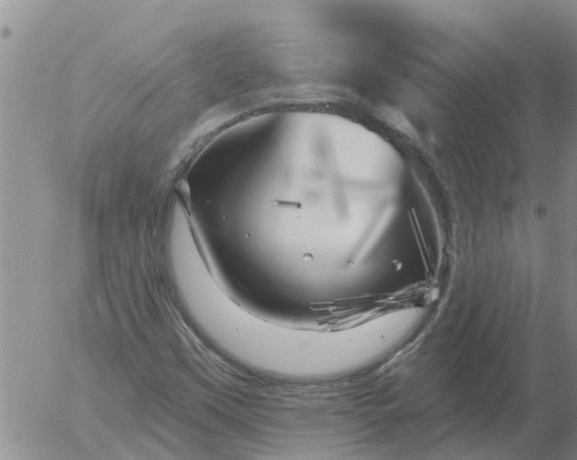 X0000055521451200509022111