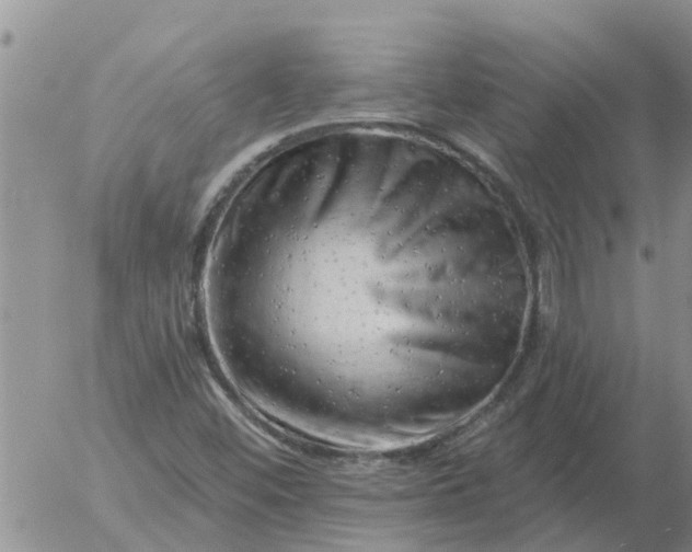 X0000055521452200509022111