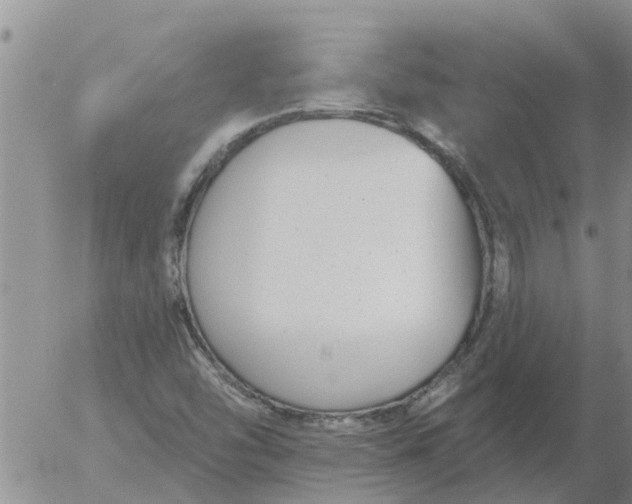 X0000055521454200509022111