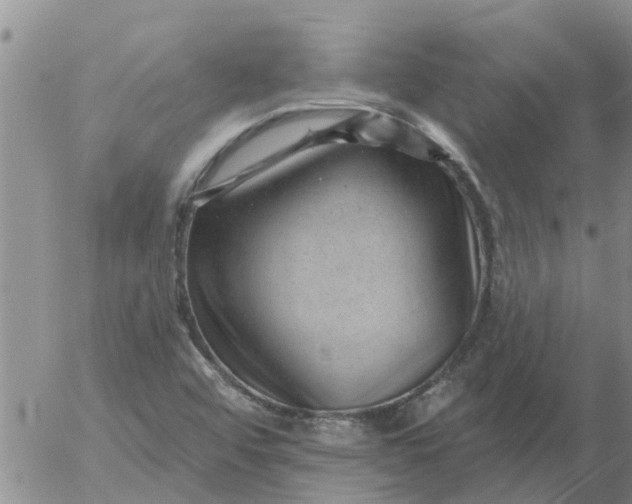 X0000055521456200509022111