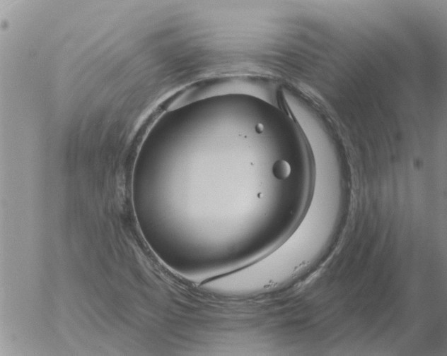 X0000055521457200509022111