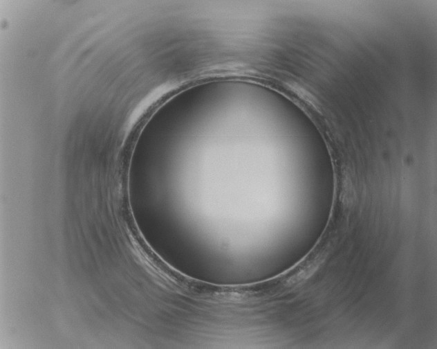 X0000055521458200509022111