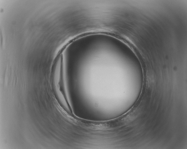 X0000055521460200509022111