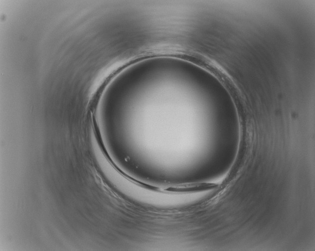 X0000055521461200509022111