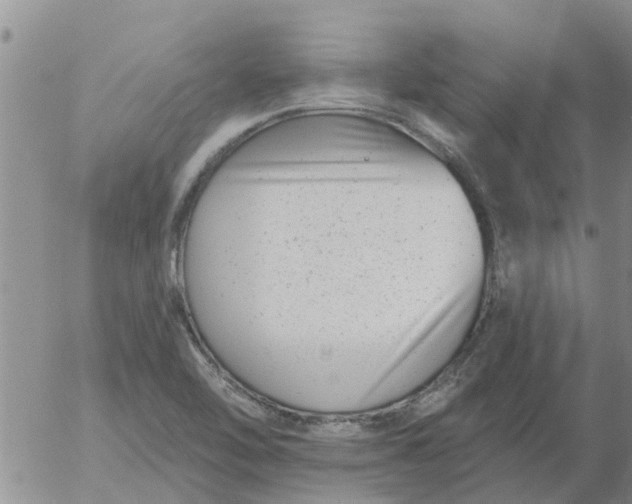 X0000055521462200509022111