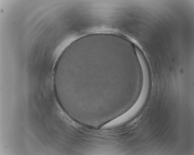 X0000055521463200509022111