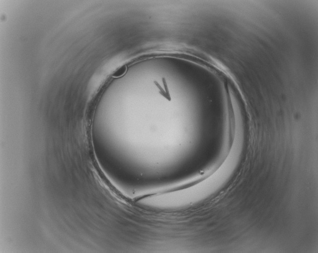 X0000055521464200509022111