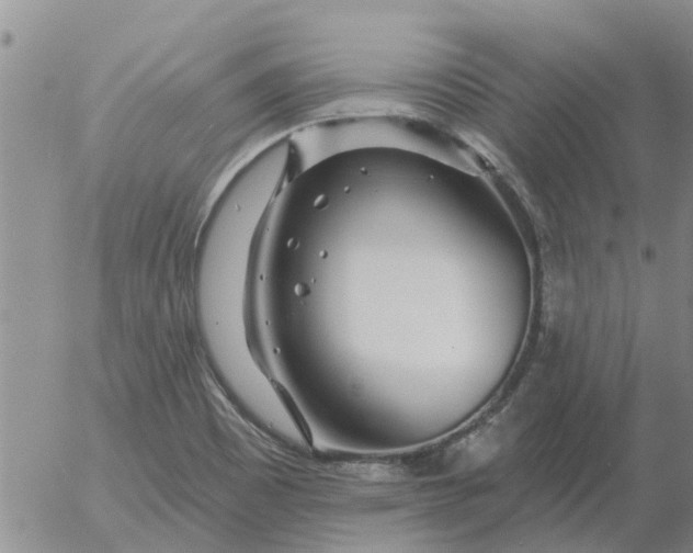 X0000055521465200509022111